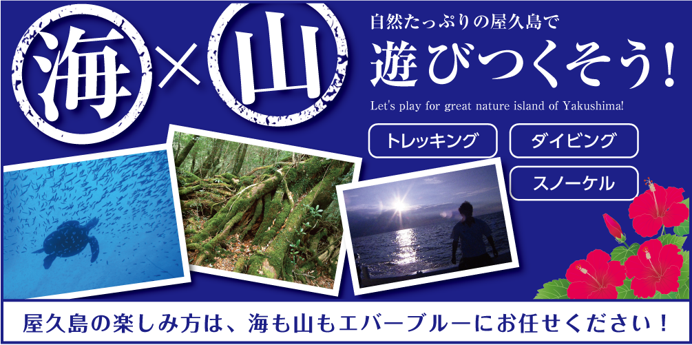 屋久島でのマリンアクティビティ＆トレッキングはエバーブルー屋久島にお任せください！